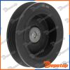 Poulie damper vilebrequin pour RENAULT | RKP-RE-000, 1003